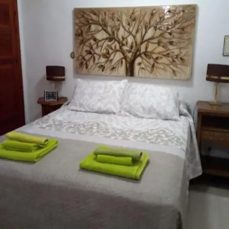 Duplex Parque Santiago 1 - 385 Playa de las Americas (Tenerife)